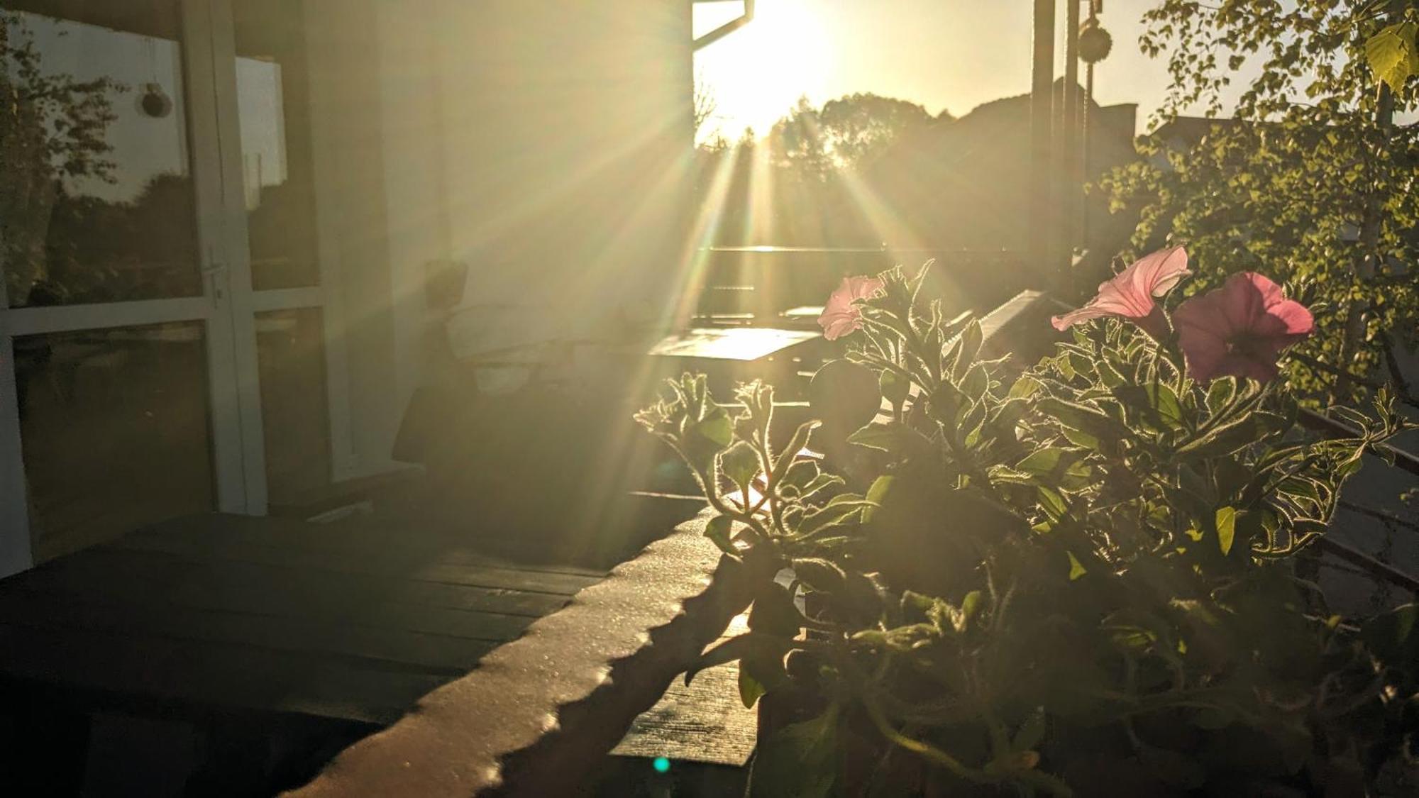 Serce Sokólka Exterior foto
